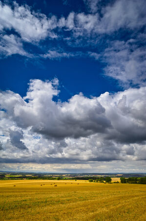 Summer evening in green and grassy fieldsの写真素材