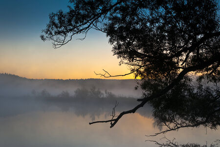 Foggy morning near lake with sun rays and treesの写真素材