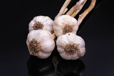 Garlic isolated on black reflective backgroundの写真素材