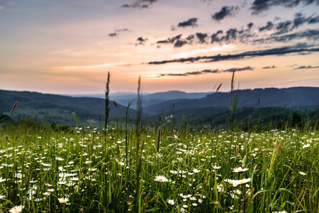 Morning in mountains with Sun rising rural sceneryの写真素材