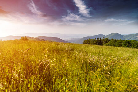 Morning in mountains with Sun rising rural sceneryの写真素材