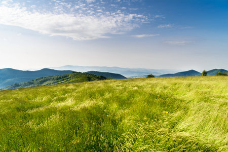 Morning in mountains with Sun rising rural sceneryの写真素材