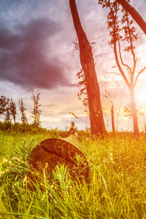Sunrise in a meadow in mountains with tree log and heavy cloudsの写真素材