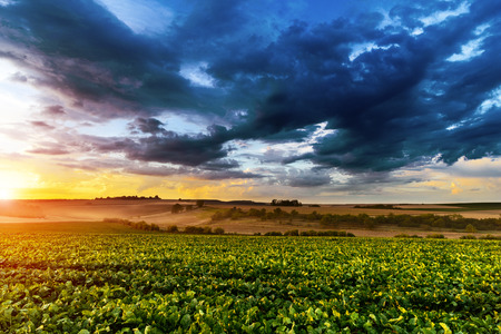 Sunset in fields in Central Europe with heavy cloudsの写真素材