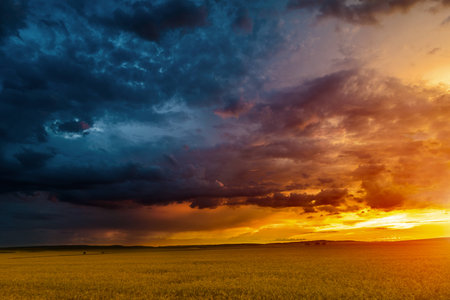 Sunset in fields in Central Europe with heavy cloudsの写真素材