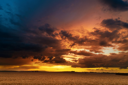 Sunset in fields in Central Europe with heavy cloudsの写真素材