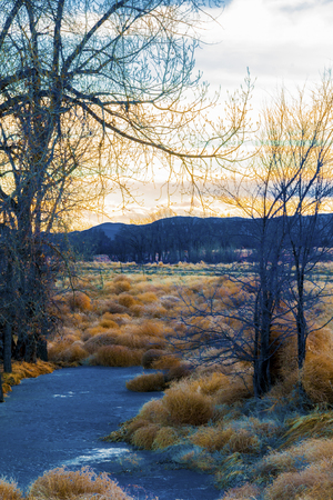A creek through dried brush and bare trees leads to the sun setting behind mountains.の写真素材