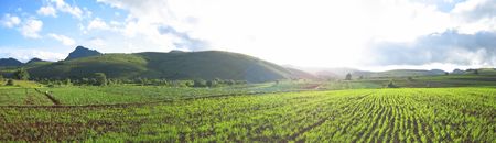 Flashy green ricefields of the valley - Kalaw - Myanmar - Panorama.の写真素材