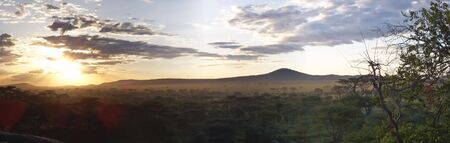 Sunset on the wild african savanna - Serengeti park - Tanzania - Panorama.の写真素材
