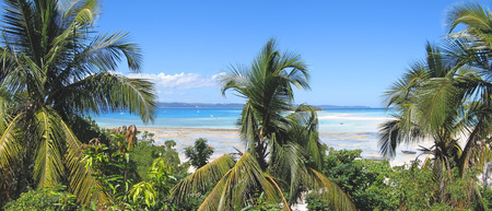 Sand bank and palm trees - Nosy Iranja - Nosy Be island - Panoramique - Madagascar.の写真素材