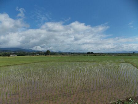 The fields under the sky.の写真素材