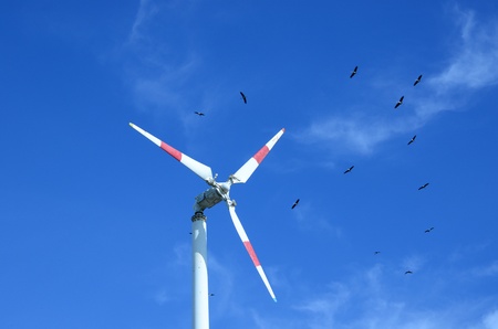 Wind Turbine