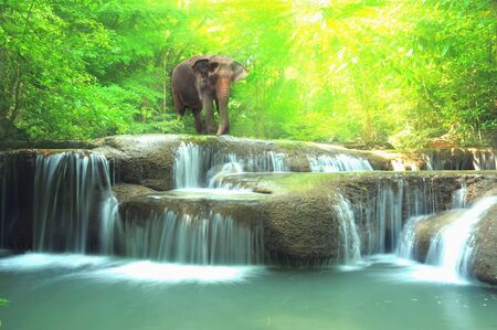 Erawan waterfall deep forest in thailandの素材