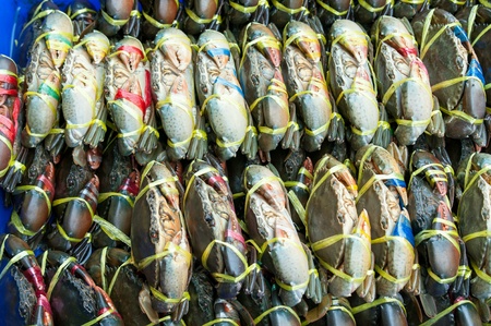 Freah crab in market.の素材