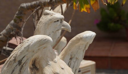 Eagle statue in Gran Canariaの写真素材