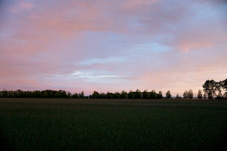 Beautiful colors by the setting sunの写真素材