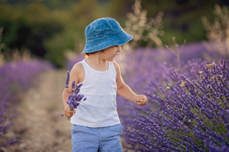 Little fashionable boy having fun in lavender field の写真素材