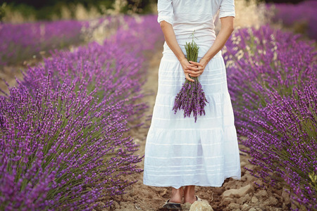Beautiful young woman, holding lavender in a field on sunsetの写真素材