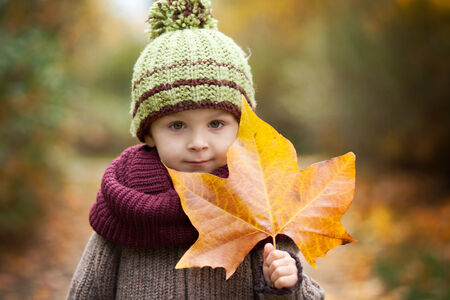 Boy with big leaf の写真素材