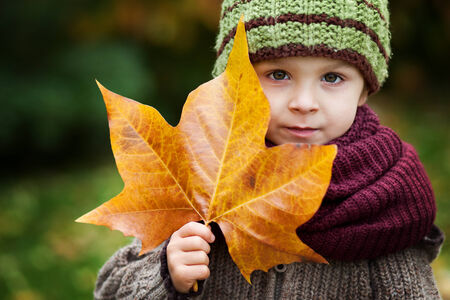 Boy with big leaf の写真素材