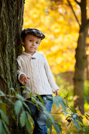 Boy in a park, playing with leavesの写真素材
