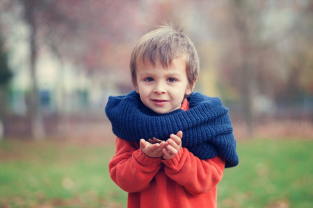 Autumn portrait of a boyの写真素材