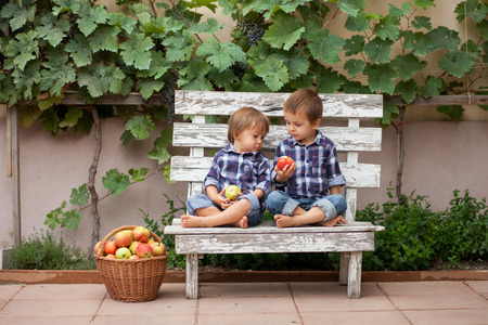 Two boys, sitting on a bench, eating apples and having funの写真素材