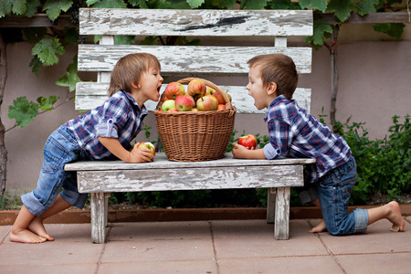Two boys, sitting on a bench, eating apples and having funの写真素材