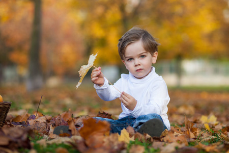 Cute little boy with basket of fruits in the parkの写真素材