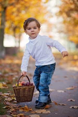 Cute little boy with basket of fruits in the parkの写真素材