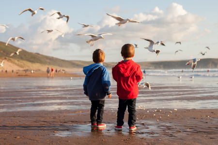 Two adorable kids, feeding the seagulls on the beach, sunset timeの写真素材