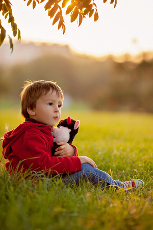 Adorable boy with his teddy friend, sitting on a lawn, sunset timeの写真素材