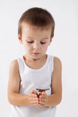 Little boy, holding butterfly, studio shot, isolated white background, focus on butterflyの写真素材