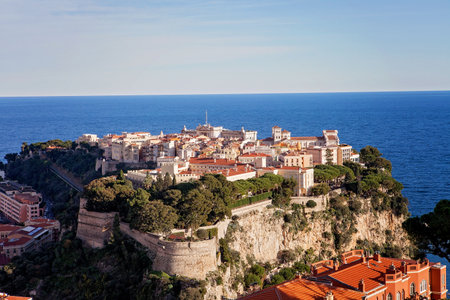 Prince's Palace in Monaco, view from the exotic gardens, daytimeのeditorial素材