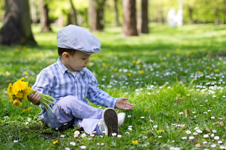 Little boy, Sitting on the grass with a handful of dandelions