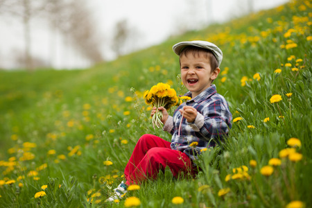 Portrait of a little boy in a dandelion field