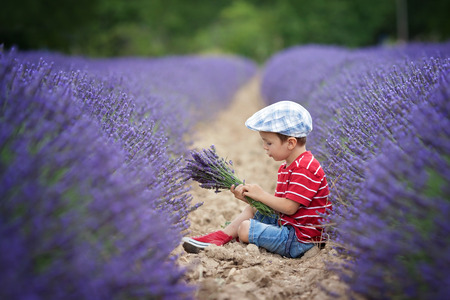 Little fashionable boy having fun in lavender field in the summerの写真素材