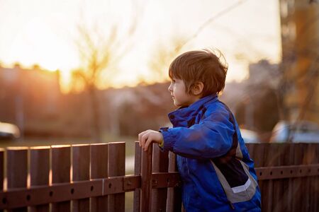 Adorable little boy, standing next to a fence, watching the sunset, springtimeの写真素材