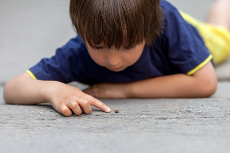 Cute little toddler boy, playing with ladybird outdoor in the park, summertimeの写真素材
