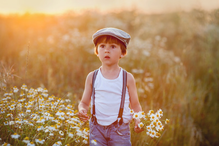 Beautiful little boy in daisy field on sunset, summertimeの写真素材