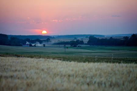 Sunset over field, summertimeの写真素材