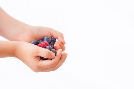 Child, holding raspberries and blueberries in his hands, isolated on white, space for signの写真素材