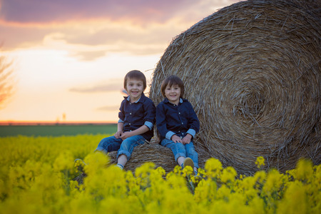 Two children, boy brothers in a oilseed rape field, sitting on a bale of haystacks, watching the sunsetの写真素材