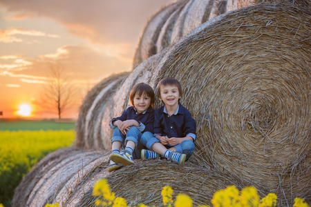 Two children, boy brothers in a oilseed rape field, sitting on a bale of haystacks, watching the sunsetの写真素材