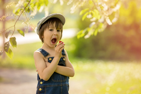 Cute beautiful child, boy, eating strawberries in the park in late sunny spring afternoonの写真素材