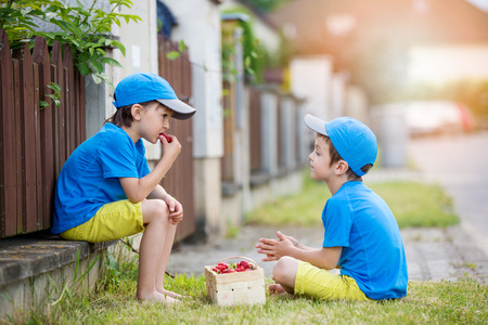 Two adorable little children, boy brothers, eating strawberries, summertime. Friends eating healthy organic homemade fresh strawberriesの写真素材