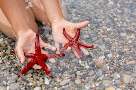 Young child, holding red starfishes in his hands on the beach, summertimeの写真素材