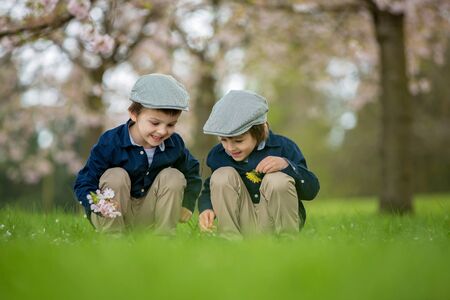 Two adorable boys, reading a book in a spring blooming park, daytimeの写真素材