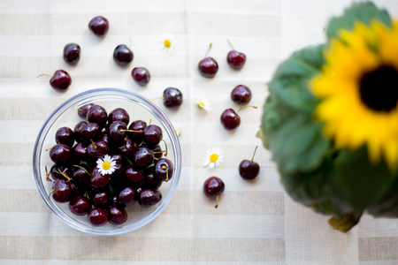 Sweet tempting cherries in a glass bowl and on the table, daisy flowers and sunflowers aroundの写真素材
