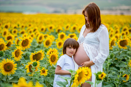 Beautiful pregnant woman and her toddler son, hugging happily in sunflower field on sunsetの写真素材